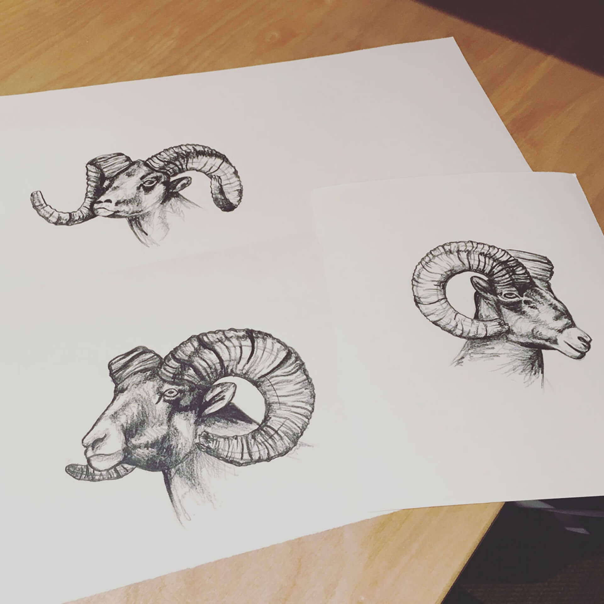 Ram Drawings